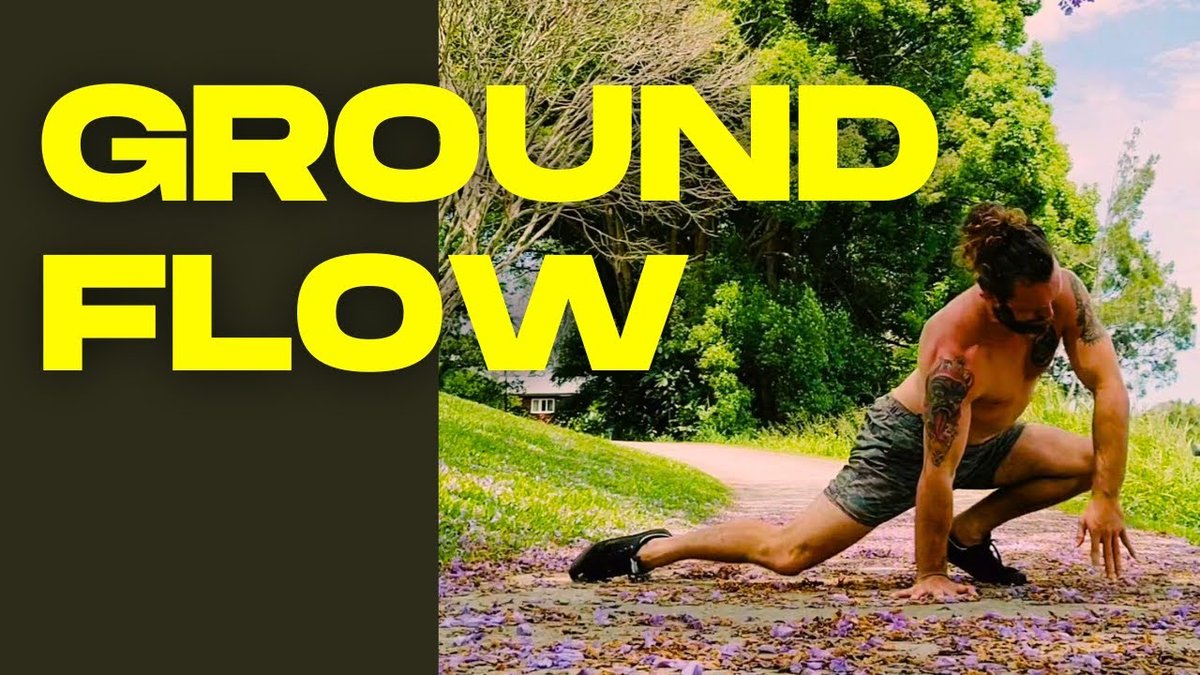 How Owls Walk, Hop, and Grip the Ground